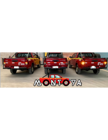 Protector de Foco Trasero