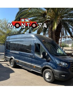 PARRILLA METÁLICA CON ESCALERA FURGÓN. 2